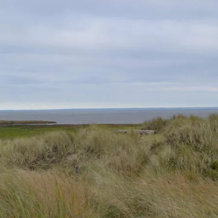Holiday Lxxiv Hvide Sande